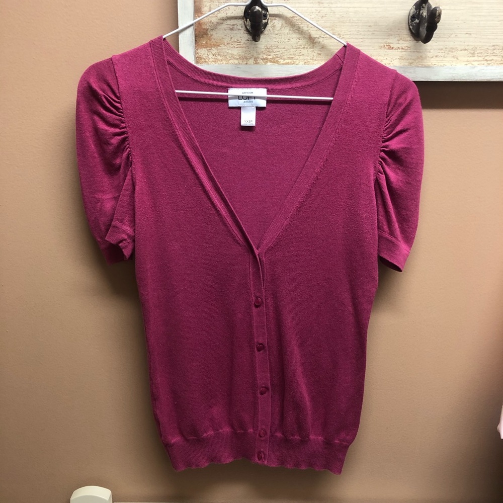 Ann Taylor Loft short sleeve sweater